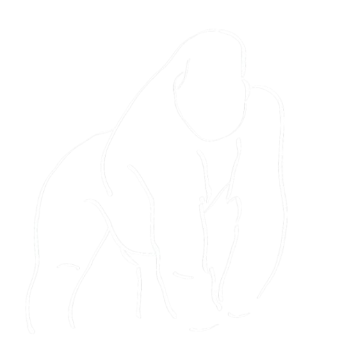 captura desde 2026 03 17 12 06 35 removebg preview